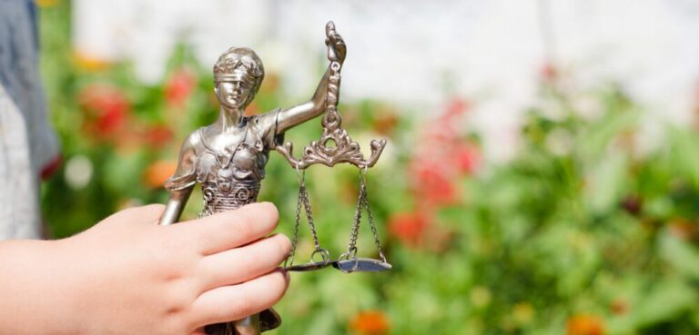 staty, advokat, jurist